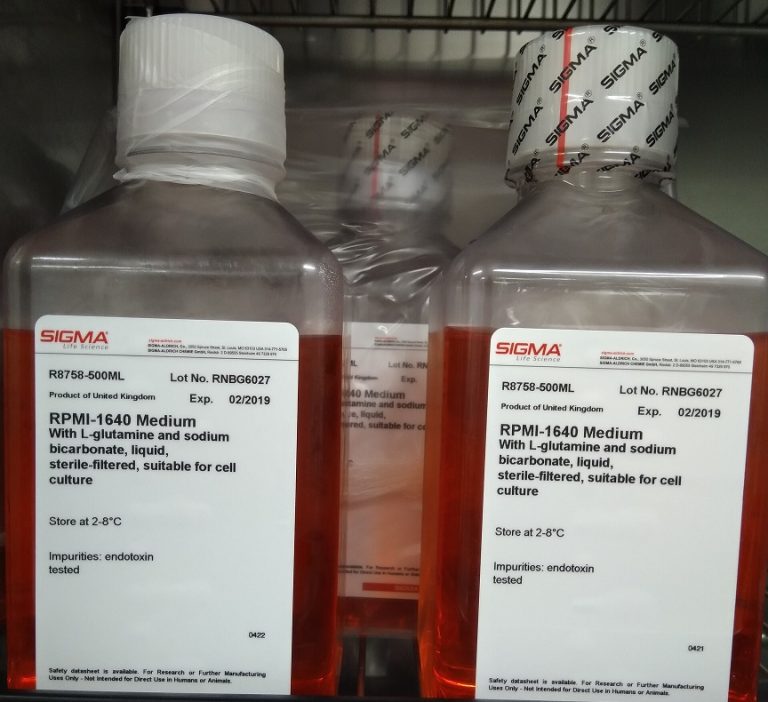 PHYSIOCHEMICAL ENVIRONMENTAL FACTORS THAT AFFECT CELL CULTURE ...