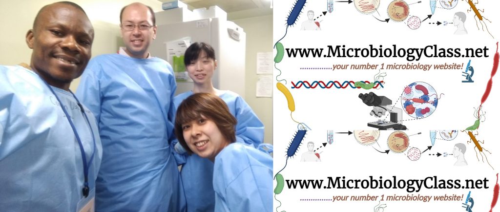 <strong>What microbiologists do – where they work!</strong>