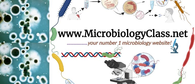 Microbiology visual data 6