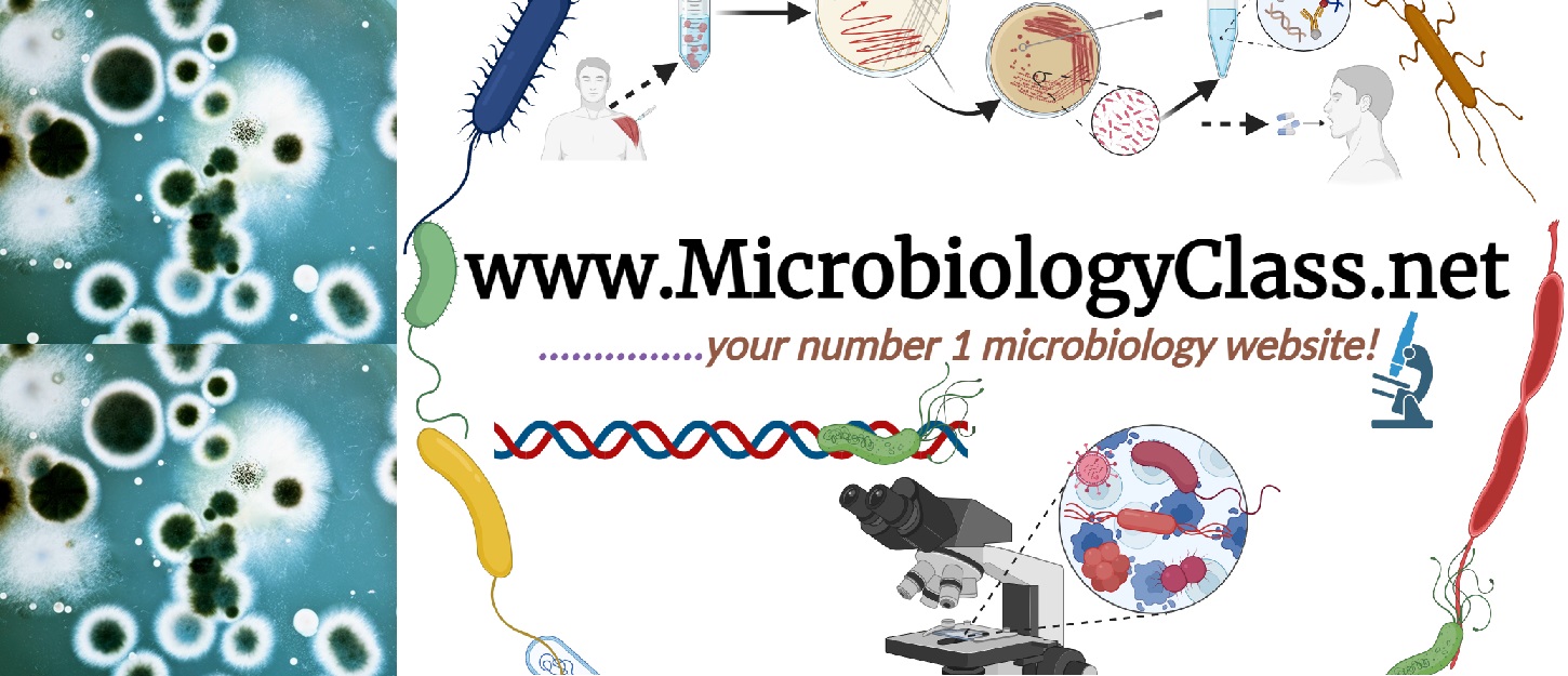 WHAT IS MICROBIOLOGY? - #1 Microbiology Resource Hub