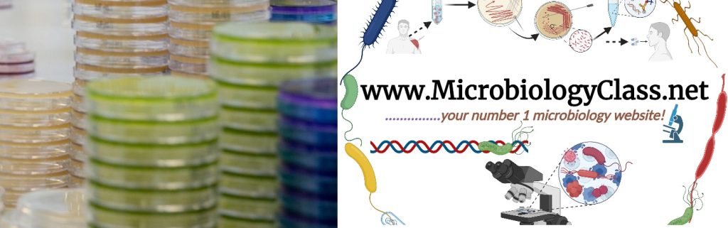Important Microbiology Websites for Study & Opportunities