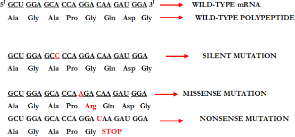 Classification Of Mutation By Their Effects On The Dna Molecule