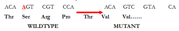 Classification Of Mutation Archives Everything Microbiology