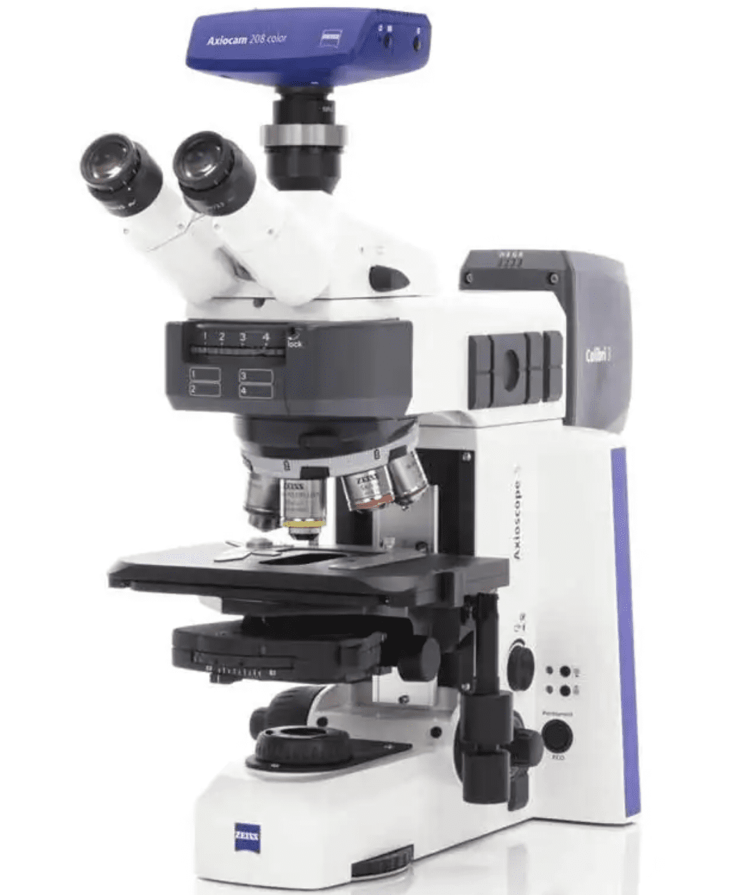 Contrast Microscope Definition TYPES OF MICROSCOPES – Microbiology Class