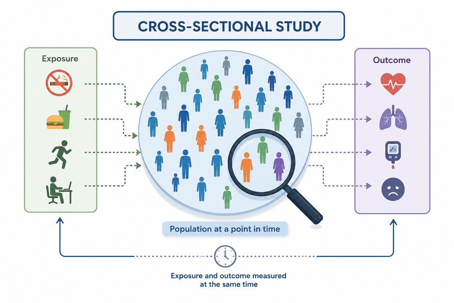 Cross-Sectional Study 