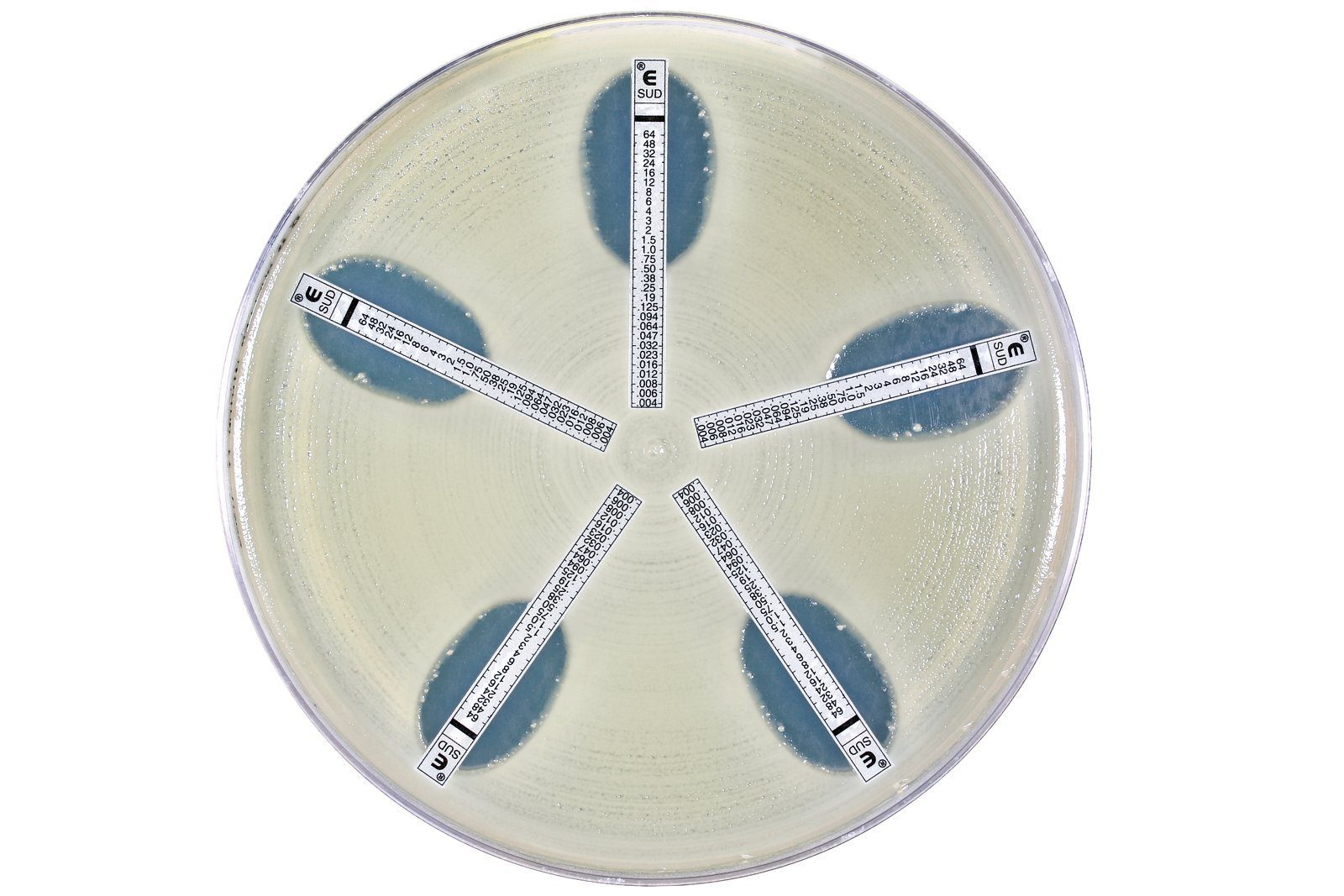 Measurement of Antimicrobial Efficacy/Activity