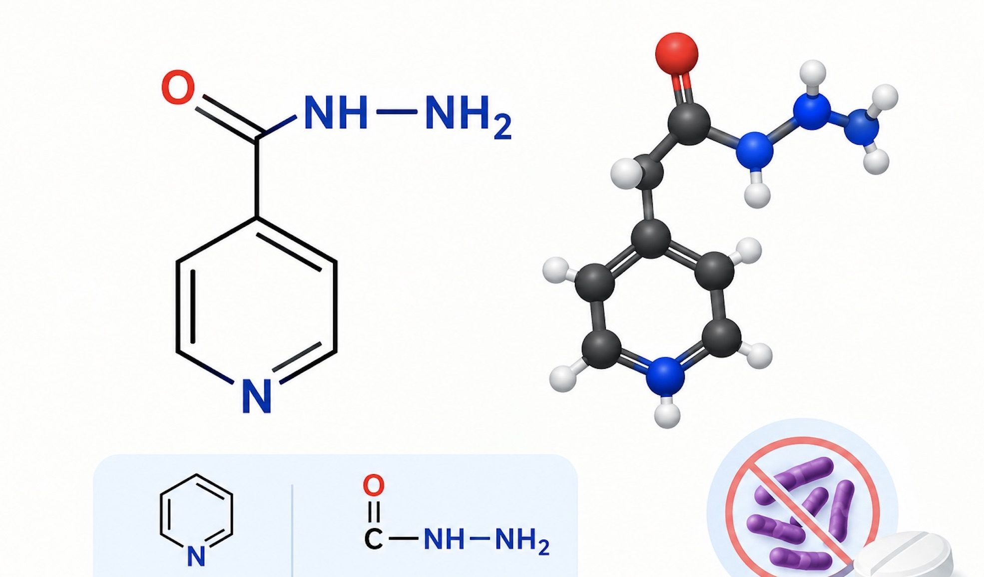 Isoniazid: Anti-Tuberculosis (TB) Drug