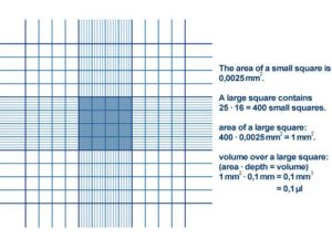 HAEMOCYTOMETER CELL COUNT FOR CSF SAMPLE – Microbiology Class