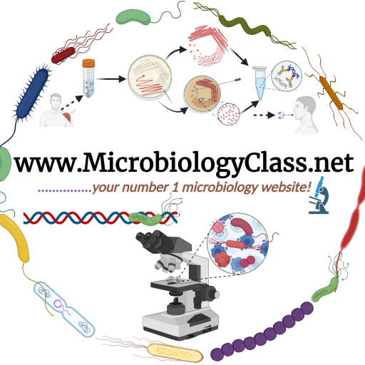 #1 Microbiology Resource Hub