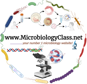 About MicrobiologyClass.net - #1 Microbiology Resource Hub