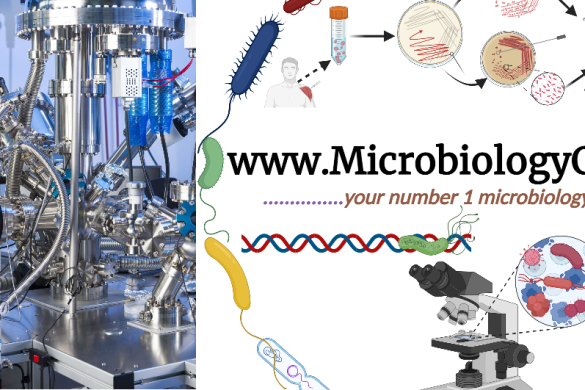 research project topics for microbiology