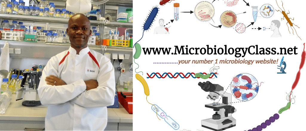 5 Reasons To Join MicrobiologyClass Africa s Breakthrough 5 Reasons To Join MicrobiologyClass Africa s Breakthrough