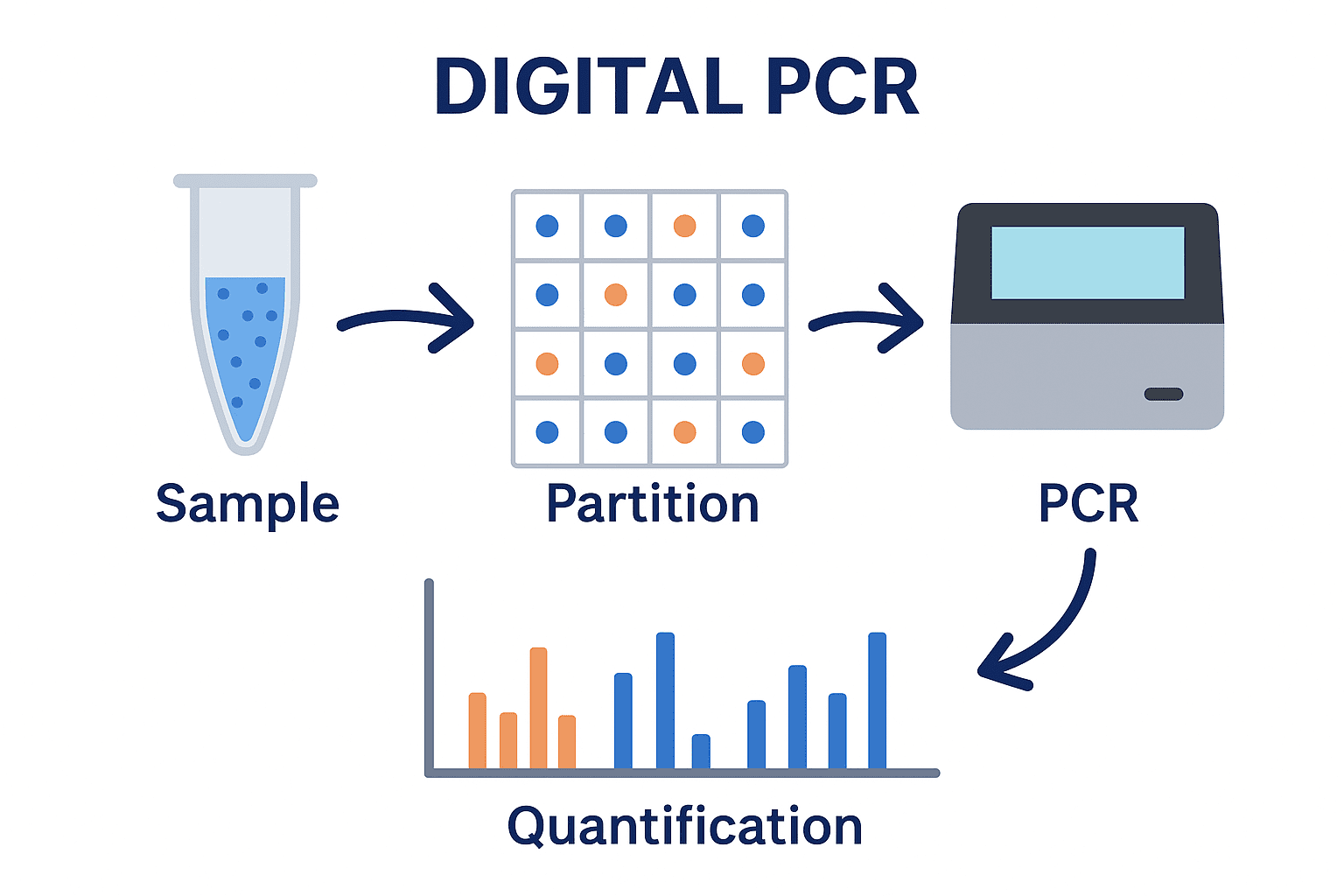 Digital PCR (dPCR): The Next Frontier in Absolute Nucleic Acid Quantification 