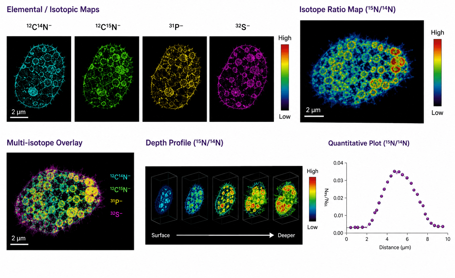 Nanoscale Secondary Ion Mass Spectrometry (NanoSIMS) – Microbiology Class
