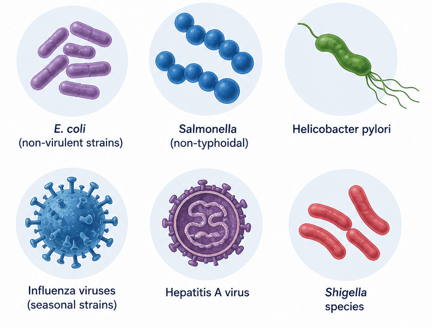 Category B Biological Agents: microbiology, transmission pathways, clinical manifestations