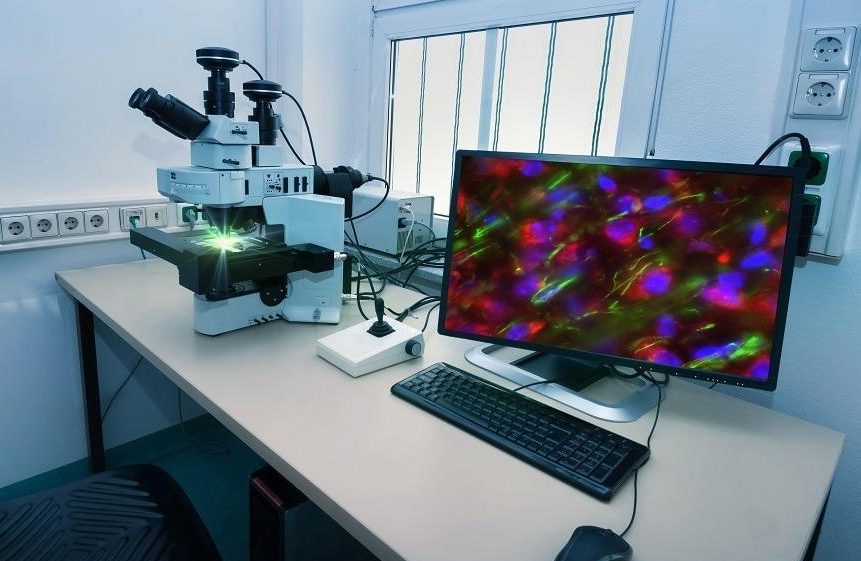 Confocal Microscopy: Understanding Principles, Instrumentation, and Applications of Confocal Microscope
